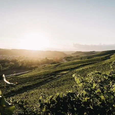 Weingut Und Holger Alt Frühstückspension Monzingen