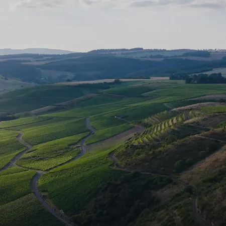 Frühstückspension Weingut Und Holger Alt Monzingen