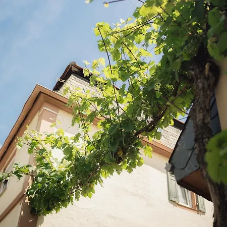 Weingut Und Holger Alt Monzingen