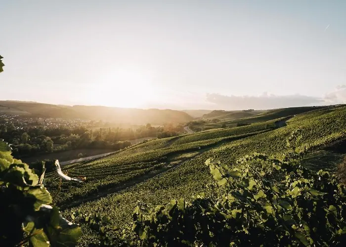 Weingut Und Holger Alt Frühstückspension Monzingen