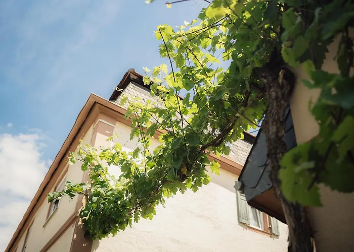 Weingut Und Holger Alt Monzingen